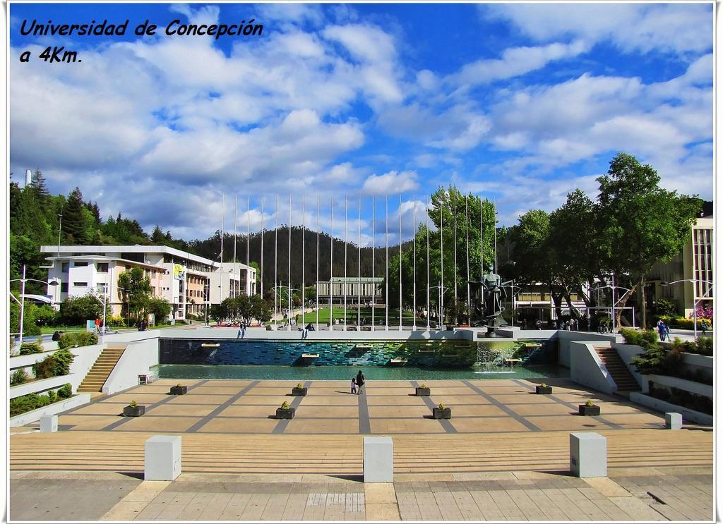 Casa San Valentin Hotel Concepción Екстериор снимка